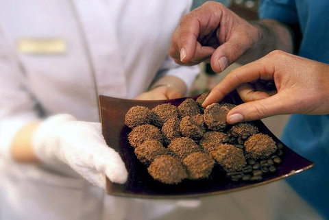 Explore Adelaide City Tour: Haigh's Tasting Chocolate & Adelaide Oval Tour - Attractions Brisbane 2