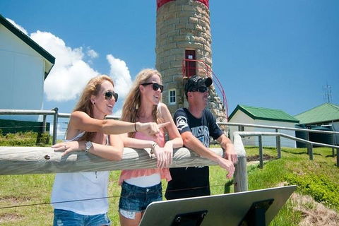 Full-Day Moreton Island 4x4 Sightseeing Tour - Attractions Brisbane 3