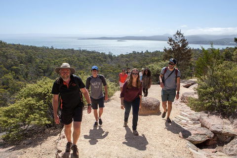 3-Day Tasmania Combo: Launceston To Hobart Active Tour Including Cradle Mountain, Freycinet National Park And Port Arthur - Attractions Brisbane 5