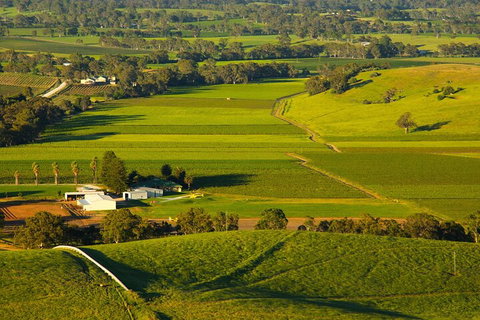 Full-Day Wine World Tour In Barossa - Attractions Brisbane 2