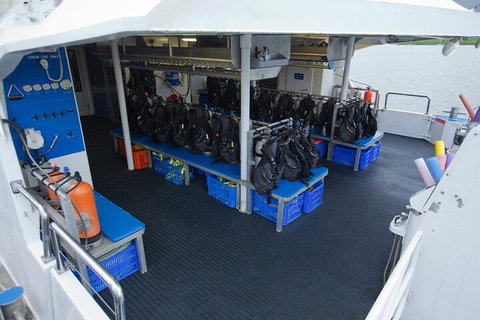 Silverswift Outer Great Barrier Reef Dive And Snorkel Cruise From Cairns - Attractions Brisbane 0