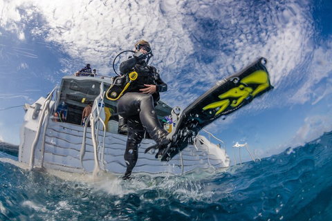Silverswift Outer Great Barrier Reef Dive And Snorkel Cruise From Cairns - Attractions Brisbane 1