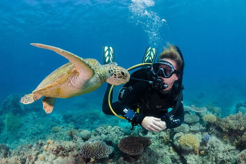 Silverswift Outer Great Barrier Reef Dive And Snorkel Cruise From Cairns - Attractions Brisbane 2