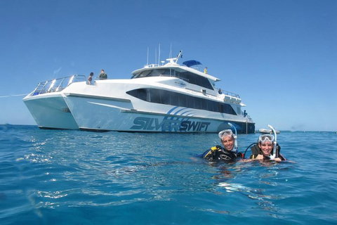 Silverswift Outer Great Barrier Reef Dive And Snorkel Cruise From Cairns - Attractions Brisbane 4