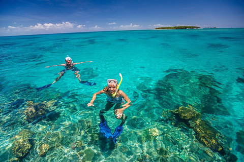 Green Island Discovery Including Glass Bottom Boat Tour Departing Cairns - Attractions Brisbane 2