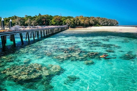 Green Island Discovery Including Glass Bottom Boat Tour Departing Cairns - Attractions Brisbane 4
