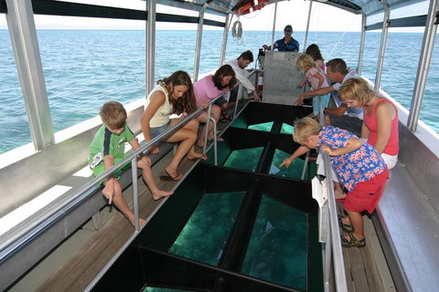 Green Island Discovery Including Glass Bottom Boat Tour Departing Cairns - Attractions Brisbane 5