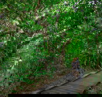Green Island Eco Adventure from Cairns - Attractions Brisbane
