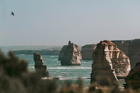 Half-Day Or Full-Day Tour With Private Guide From Melbourne - Attractions Brisbane 0