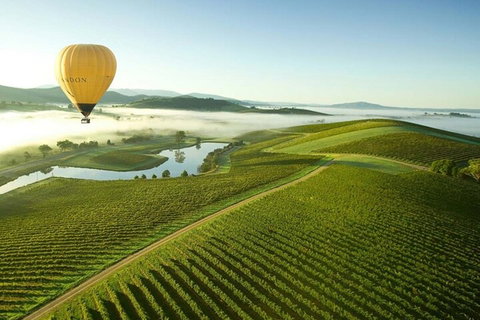 Half-Day Or Full-Day Tour With Private Guide From Melbourne - Attractions Brisbane 4