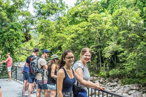Cape Tribulation, Mossman Gorge, And Daintree Rainforest Day Trip From Cairns Or Port Douglas - Attractions Brisbane 0