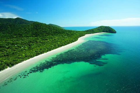 Cape Tribulation, Mossman Gorge, And Daintree Rainforest Day Trip From Cairns Or Port Douglas - Attractions Brisbane 2