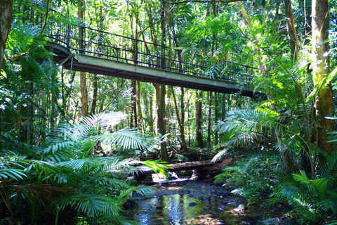 Cape Tribulation, Mossman Gorge, And Daintree Rainforest Day Trip From Cairns Or Port Douglas - Attractions Brisbane 3