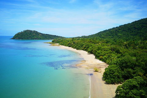 Cape Tribulation, Mossman Gorge, And Daintree Rainforest Day Trip From Cairns Or Port Douglas - Attractions Brisbane 5