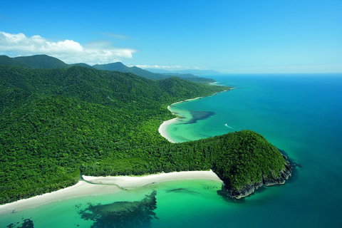 Double Pack-Ancient Rainforest And Waterfalls! - Attractions Brisbane 1