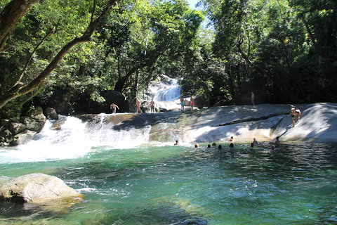 Double Pack-Ancient Rainforest And Waterfalls! - Attractions Brisbane 2