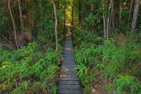 One Day Litchfield Park Adventures - Attractions Brisbane 4