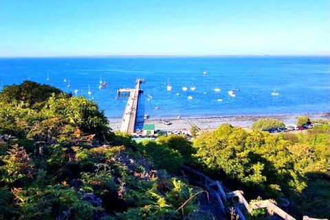 Mornington Peninsula Sightseeing Tour For 2-6 Guests. - Attractions Brisbane 1