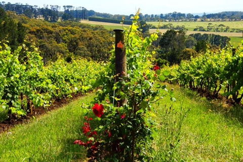 Mornington Peninsula Sightseeing Tour For 2-6 Guests. - Attractions Brisbane 3