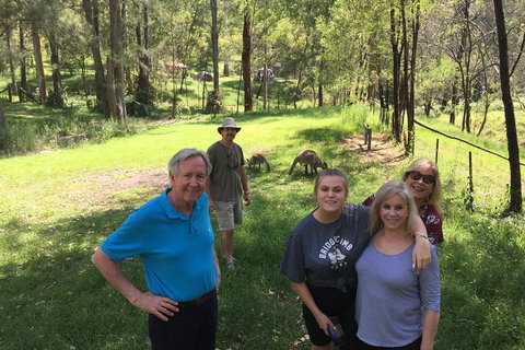 Small Group Blue Mountains Day Tour From Sydney - Attractions Brisbane 1