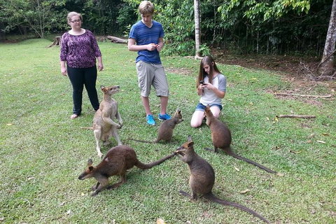 Small Group Blue Mountains Day Tour From Sydney - Attractions Brisbane 2