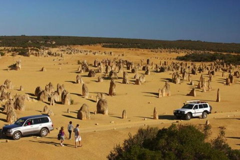 1-Day Pinnacles And Yanchep Tour From Perth Including Fish And Chips Lunch - Attractions Brisbane 0