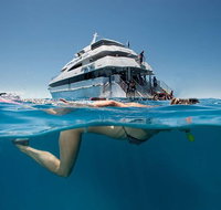 3 Day Great Barrier Reef Daintree Rainforest and Outback Chillagoe Tour - Attractions Brisbane
