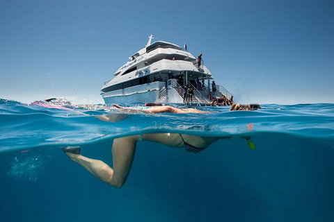 3 Day Great Barrier Reef, Daintree Rainforest And Outback Chillagoe Tour - Attractions Brisbane 0
