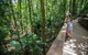 3 Day Great Barrier Reef, Daintree Rainforest And Outback Chillagoe Tour - thumb 3