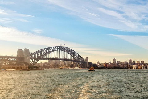 The Rocks & Darling Harbour With A Local: Private & Personalized - Attractions Brisbane 5