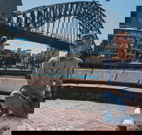 Sydney Private Tours by Locals 100 Personalized See the City Unscripted - Attractions Brisbane
