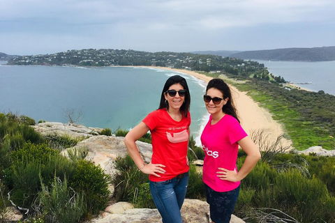 Small-Group Sydney's Northern Beaches And Ku-ring-gai National Park Bus Tour - Attractions Brisbane 3