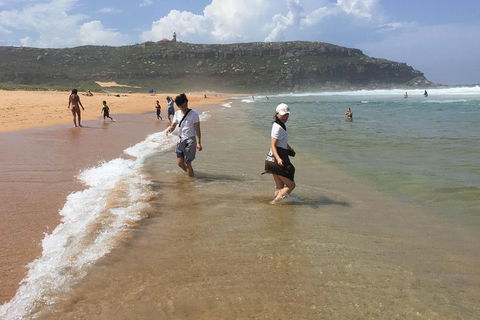 Small-Group Sydney's Northern Beaches And Ku-ring-gai National Park Bus Tour - Attractions Brisbane 5