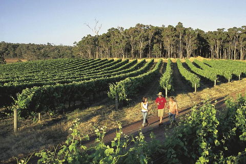 Margaret River, Caves, Wine And Cape Leeuwin Lighthouse Tour From Perth - Attractions Brisbane 1