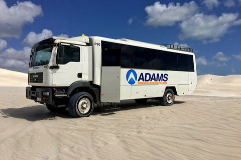 Pinnacles Desert, Koalas And Sandboarding 4WD Day Tour From Perth - Attractions Brisbane 2