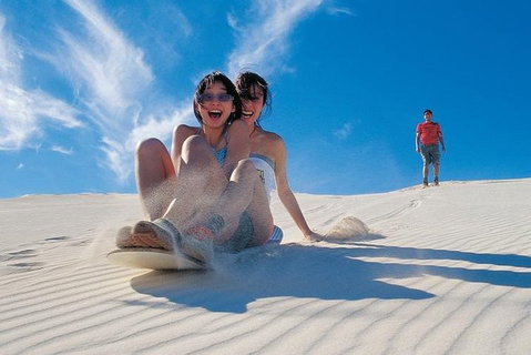 Pinnacles Desert, Koalas And Sandboarding 4WD Day Tour From Perth - Attractions Brisbane 3