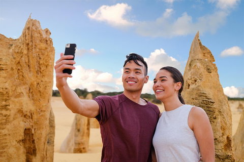 Pinnacles Desert, Koalas And Sandboarding 4WD Day Tour From Perth - Attractions Brisbane 4
