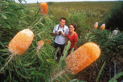 Best Of Perth Wildflower Season Day Trip - Attractions Brisbane 0