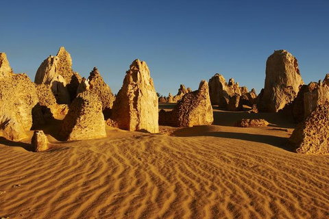 Full Day Pinnacle Desert Explorer From Perth Including Hillarys And Lancelin Sandboarding - Attractions Brisbane 3