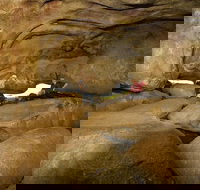 2-Day Wave Rock York Wildflowers  Aboriginal Experience - Attractions Brisbane