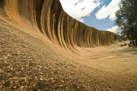Wave Rock, York, Wildflowers, And Aboriginal Cultural Day Tour From Perth - Attractions Brisbane 0
