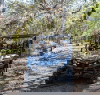 Small-Group Buggy Tour at Little Sahara with Guide - Attractions Brisbane