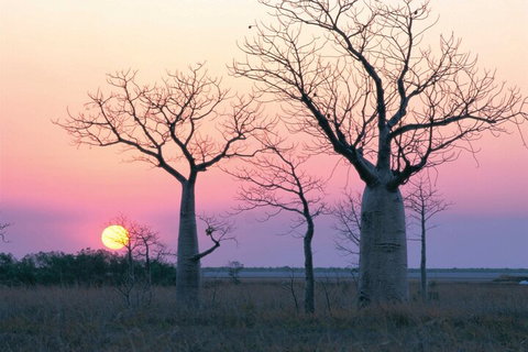 8-Day Outback Experience From Queensland - Attractions Brisbane 5