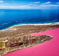 Pink Lake Small-Group Buggy Tour - Attractions Brisbane