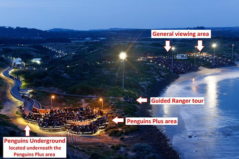 Phillip Island Penguin, Brighton Beach, Moonlit Sanctuary From Melbourne - Attractions Brisbane 4