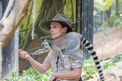 Currumbin Wildlife Sanctuary General Entry Ticket - Attractions Brisbane 1