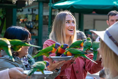 Currumbin Wildlife Sanctuary General Entry Ticket - Attractions Brisbane 3