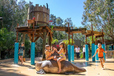 Currumbin Wildlife Sanctuary General Entry Ticket - Attractions Brisbane 5
