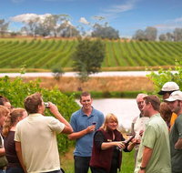 Yarra Valley Wine and Winery Tour from Melbourne - Attractions Brisbane