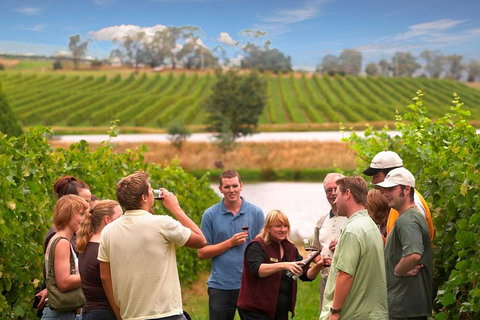 Yarra Valley Wine And Winery Tour From Melbourne - Attractions Brisbane 0
